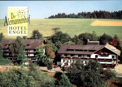 Der almanenhof hotel - engel, "
