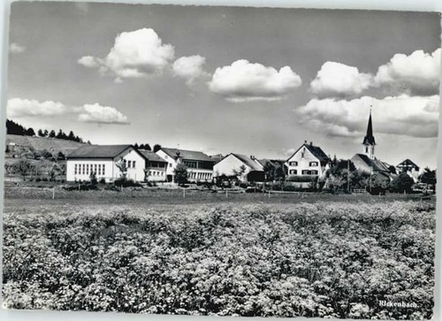 Rickenbach - ,